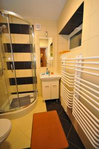 a bathroom with a shower and a sink and a toilet at Apartament U Jacka in Rabka-Zdrój +20 photos