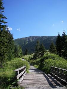 Φυσικό τοπίο κοντά σε αυτή η παραθεριστική κατοικία +9 φωτογραφίες