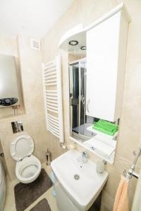 a bathroom with a toilet and a sink and a mirror at Apartman Sinisa in Zlatibor +4 photos