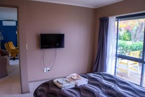 a bedroom with a bed and a tv and a window at Minffordd Cottage in Feilding