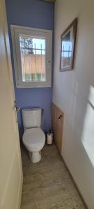 a bathroom with a white toilet with a window at La Casa Liberta in Salavas