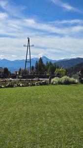 a field with a electricity transmission tower in the distance at Tiny House mit Fernblick in Verditz +3 photos