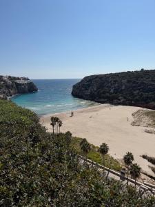 a sandy beach with palm trees and the ocean at La Guapa in Cala en Porter