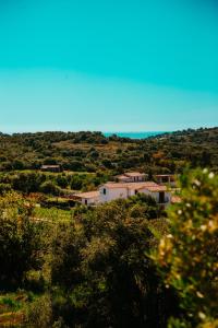 a village on a hill with the ocean in the background at DOMO MARE E TERRA Boutique Rooms and Spa in Posada