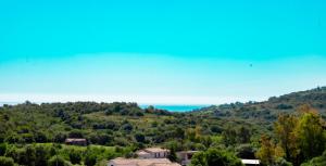a view of a hill with houses and trees at DOMO MARE E TERRA Boutique Rooms and Spa in Posada +38 photos