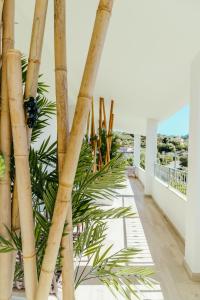a group of bamboo trees in a room with a view at DOMO MARE E TERRA Boutique Rooms and Spa in Posada