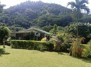 a house with a view of a mountain at Chez Teivama in Haapiti