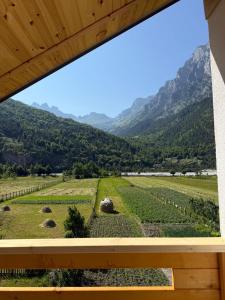 a view from a window of a vineyard at Guesthouse Skender Selimaj in Valbonë +31 photos