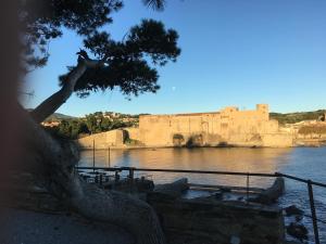 un albero vicino all'acqua con un castello di Un Balcon Sur La Mer a Port-Vendres