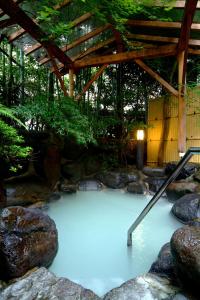 Piscina di Mitake o nelle vicinanze