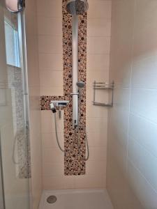 a bathroom with a shower with a leopard tile wall at Weinbleibe Weingut Beyer in Dorndorf