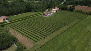 an aerial view of a large field of crops at Apartman DAR Bošković Studio in Zagorak