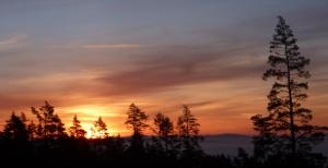 a sunset with trees in the foreground at Penzión ERIKA in Vysoké Tatry
