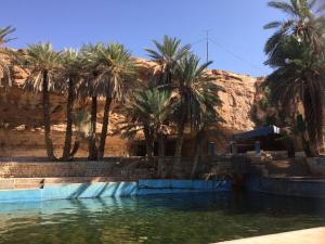 a pool of water with palm trees in the background at Birgits Bed & Bistro, Garage für Biker kostenlos in Meski