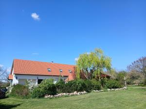 a house with a flock of sheep in front of it at Apartamenty Polonia in Cserépfalu