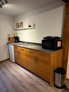 a kitchen with a sink and a microwave on a counter at Mosel-Cottage-Appartment in Briedern