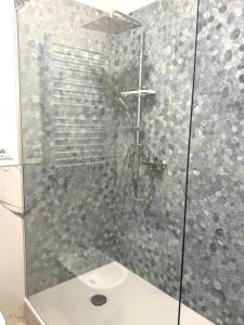 a shower stall with a toilet in a bathroom at Duca d Aosta apartment 2 in Monfalcone