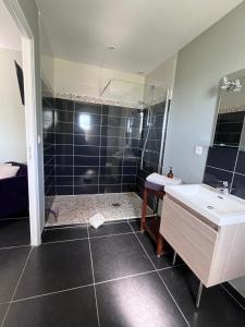 a bathroom with a shower with a sink and a tub at la ferme au bois dormant in Wemaers-Cappel +12 photos