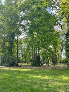 a park with green grass and trees in the background at Cabane Magique 4 Personnes in La Bâtie-Montgascon +2 photos