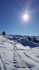 Chalet Edelweiss durante l'inverno