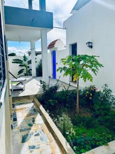 a house with a patio with a tree in the yard at Moussaoui house in Aïn Draham