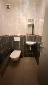 a bathroom with a toilet and a sink at Le Nid de la Loire - Centre historique - 4 pers - Classé 3 étoiles in Blois +13 photos