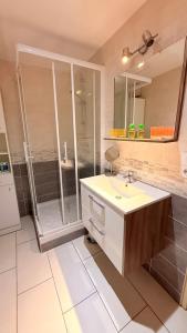 a bathroom with a sink and a shower at Le Nid de la Loire - Centre historique - 4 pers - Classé 3 étoiles in Blois