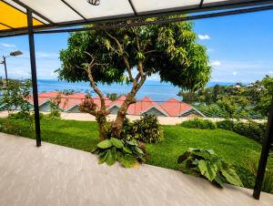 a tree in a yard with a view of the ocean at Rusal Haven in Rubavu