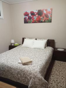 a bed with two white pillows and a painting on the wall at Rodi Home in Sotíra