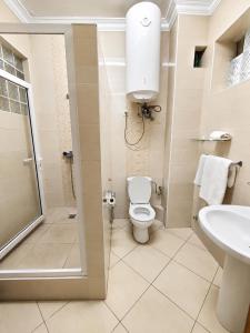 a bathroom with a toilet and a shower and a sink at Hôtel Shalimar in Antananarivo