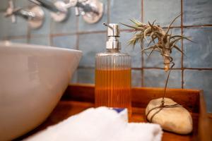 a soap dispenser sitting on a counter next to a sink at Eunoia Cottage in Paarl +35 photos