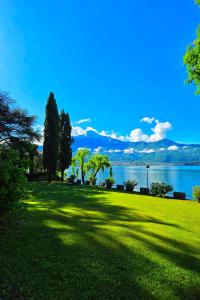 a grassy field with trees and a body of water at Villa Belora in Gera Lario