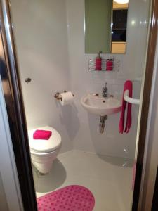 een badkamer met een toilet en een wastafel bij Alton Apartments in Bradford