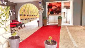 a red carpeted hallway with two potted plants on it at "VILLA DENY" Boutique HOTEL - with FREE PARKING in Mostar
