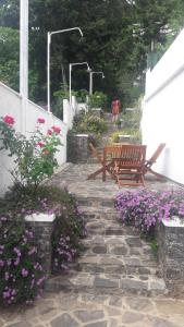 Zahrada ubytování KANDY Holiday Residence