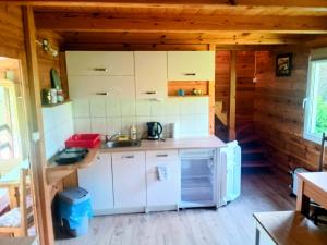 a kitchen with white appliances in a wooden cabin at Domek Karola in Bak