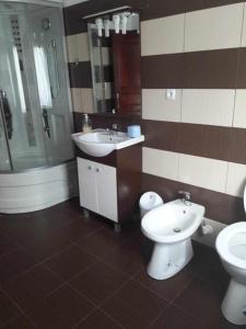 a bathroom with a sink and a toilet and a shower at Casa Ionela nr 13- Complex de pensiuni si Casute la Munte in Ceahlău