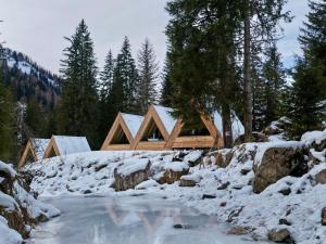 a log cabin in the snow next to a stream at Camping Cadore in Selva di Cadore