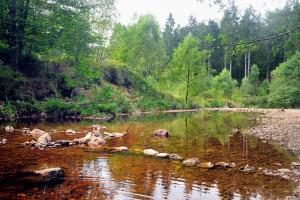 a river with a bunch of rocks in the water at Im Prummehuck in Raeren +4 photos