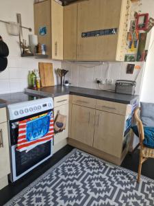 a kitchen with an american flag towel on the oven at Brighton West Pier flat in Brighton & Hove