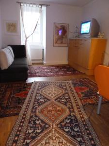 ein Wohnzimmer mit einem Teppich auf dem Boden in der Unterkunft Vorderer Westen Kassel in Kassel