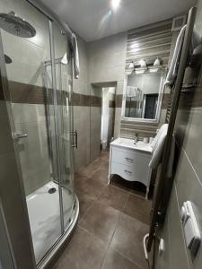 a bathroom with a shower and a sink at The Manor in Pilsen +31 photos