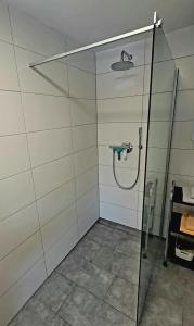 a shower with a glass door in a bathroom at Ferienwohnung Ipser in Vogtsburg +10 photos