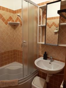 a bathroom with a shower toilet and a sink at Karpatia Esztergom in Esztergom +44 photos