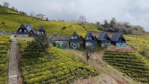 an aerial view of a tea plantation with houses on a hill at Bona Dea in Cayeli