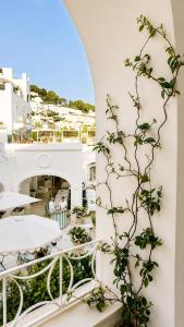 Blick vom Balkon eines Gebäudes mit einer Pflanze in der Unterkunft White Suite Capri in Capri