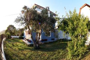 a house with a tree in the yard at 7 Oda Söğüt in Marmaris +2 photos