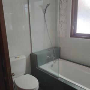 a bathroom with a shower and a toilet and a tub at Sang Fajar Ubud in Ubud +15 photos