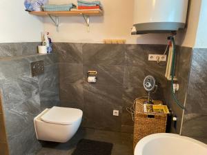 a bathroom with a toilet and a sink at Studio 611 in Třebíč