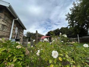 a garden with white flowers in front of a house at Bella - Rosa in Ficksburg